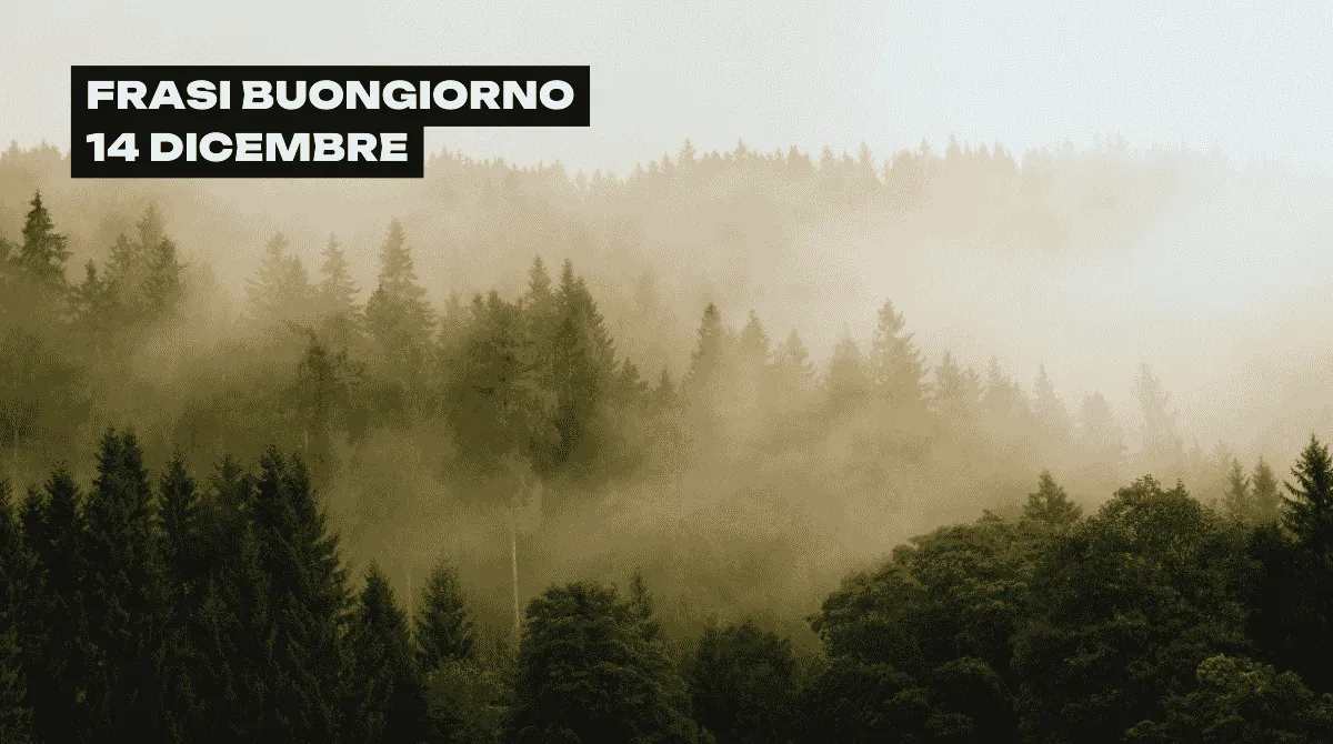 Buongiorno 14 dicembre, è domenica: 37 frasi che fanno sentire meno soli