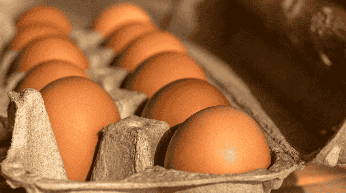 Uova fresche: quanto durano davvero e cosa nessuno ti dice sulla loro conservazione