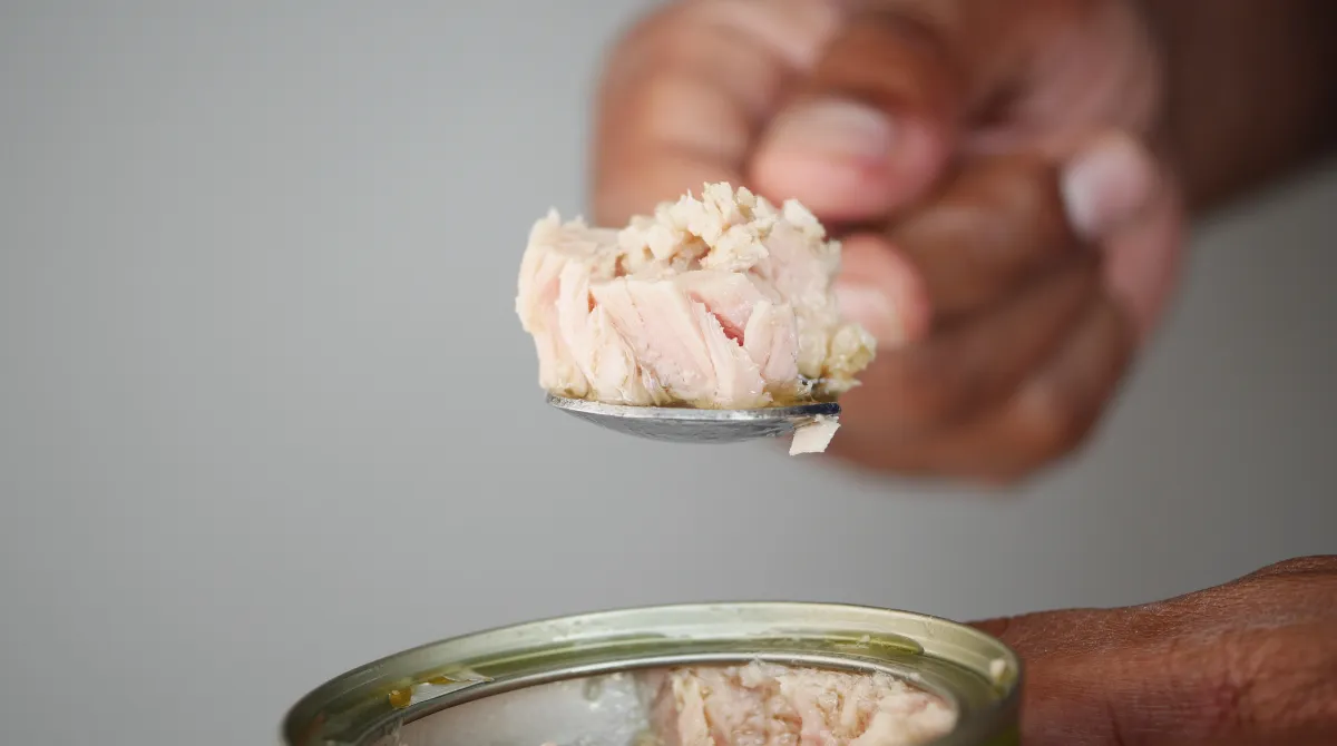 miglior tonno scatola classifica