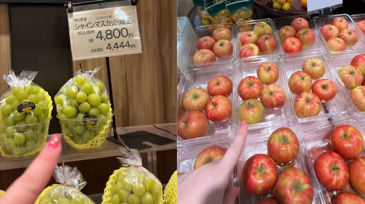 Prezzi della frutta in Giappone al supermercato: cartellini e confezioni premium